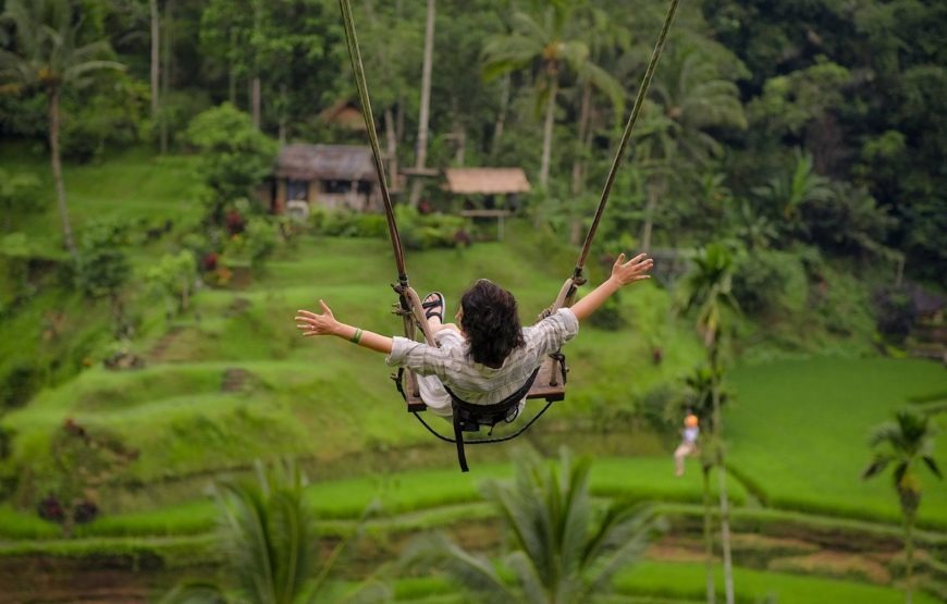 Jungle-Swing-870x555