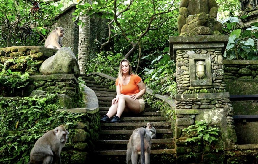 Monkey-Forest-870x555